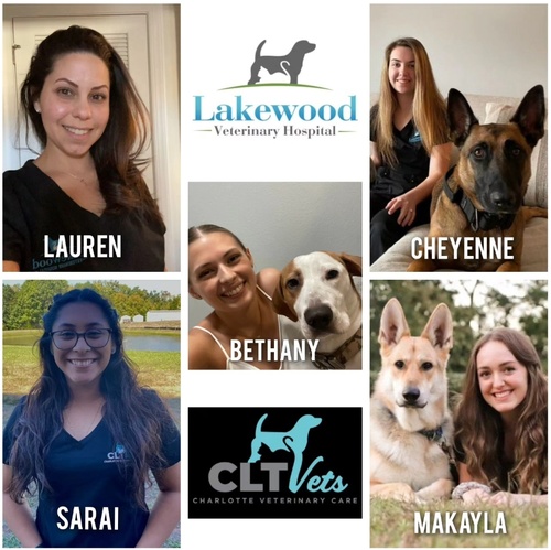 Lakewood sales vet clinic